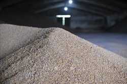 LHQ phối hợp mở lộ trình vận chuyển lương thực ở Ukraine