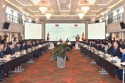 Các đường dây tội phạm ma túy có xu hướng tăng