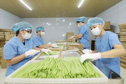 Xúc tiến thương mại nông sản trên nền tảng số: Hướng đi hiệu quả