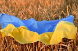 Tổng thống Nga chỉ điểm cách mở 'lối thoát' cho ngũ cốc Ukraine