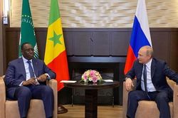 Chủ tịch Liên minh châu Phi kêu gọi giải phóng ngũ cốc khi gặp ông Putin