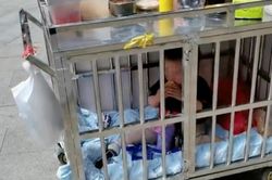 Đứa trẻ bị nhốt trong lồng sắt, tâm sự của người mẹ nhận phản ứng trái chiều