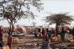 Liên hiệp quốc hỗ trợ Somalia 20 triệu USD chống hạn hán