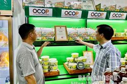 Văn Lãng: Khai trương cửa hàng trưng bày sản phẩm OCOPTin khácSẵn sàng cho kỳ thi tuyển sinh vào lớp 10Người đi tìm hình của nước