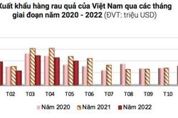 Xuất khẩu rau quả chỉ đạt 1,47 tỷ USD, giảm mạnh do thị trường Trung Quốc