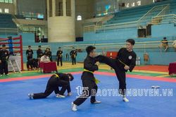 Trao 37 bộ huy chương cho vận động viên Taekwondo, Võ cổ truyền