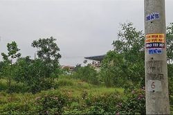 Rộ tình trạng 'bỏ cọc' đất ở Quảng Trị