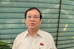 Đại biểu Quốc hội: Xử lý ông Chu Ngọc Anh, ông Nguyễn Thanh Long đau xót nhưng phải làm