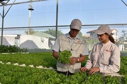 Phát triển kinh tế tuần hoàn góp phần thúc đẩy tăng trưởng xanh