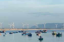 Cùng hành động để bảo vệ đại dương
