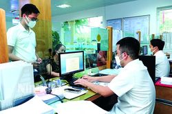 Thành phố Ninh Bình: Gắn việc học và làm theo Bác với thực hiện Chủ đề công tác năm