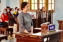 Chiếm đoạt gần 4 tỷ đồng rồi bỏ trốn, người phụ nữ 62 tuổi ngồi tù 15 năm