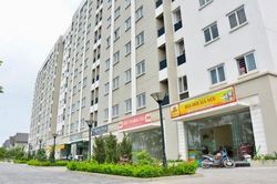 Có thể học hỏi kinh nghiệm phát triển nhà ở xã hội của Singapore và Anh