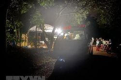 Bình Phước: Điều tra vụ một người tử vong nghi ngộ độc do ăn cá lóc