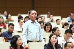 Đại biểu Lê Thanh Vân: Việc chọn người lãnh đạo cần có trí tuệ, nhận thức đúng đắn và hiểu biết pháp luật