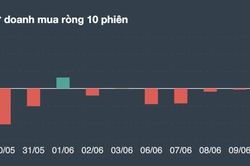Những cổ phiếu nào được tự doanh mua ròng nhiều nhất phiên 9/6