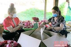 Chi hội phó phụ nữ tiêu biểu