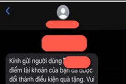 Phát hiện chiến dịch lừa đảo quy mô lớn nhắm vào khách hàng của các ngân hàng tại Việt Nam
