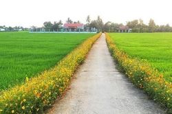 Bài toán nông nghiệp