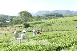 Thấm nhuần tư tưởng thi đua ái quốc