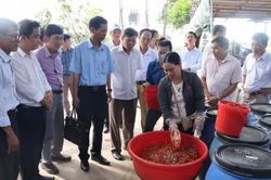 Kinh tế Nông nghiệp - Nông thôn 17 mô hình, dự án và câu lạc bộ nông dân hoạt động hiệu quả