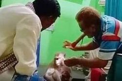 Khỉ tự tìm đến phòng khám nhờ bác sĩ chữa vết thương