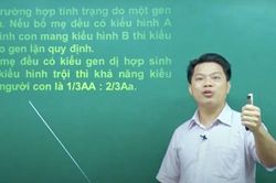 Thầy Phan Khắc Nghệ: 'Tôi không liên quan đến hai người bị khởi tố'