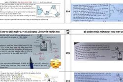 Bộ GD&ĐT thông tin về vi phạm trong quá trình xây dựng đề thi môn Sinh học