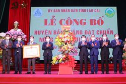 Thi đua là động lực phát triển