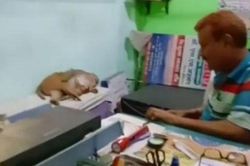 Phòng khám tư nhân đón vị khách đặc biệt khiến bác sĩ hốt hoảng nhưng vẫn tận tình cứu chữa