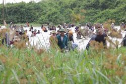 Hàng ngàn người 'đội nắng' tham gia ngày hội đánh cá tại Hà Tĩnh