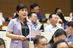 Đại biểu Quốc hội đề nghị khảo sát hơn 700 Chủ tịch huyện về sự cần thiết của Thanh tra cấp huyện