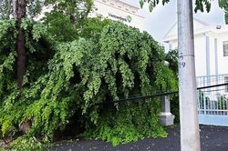 Mưa giông gây thiệt hại cho Châu Đốc và Tân Châu