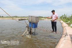 Làm giàu từ mô hình nuôi trồng thủy sản