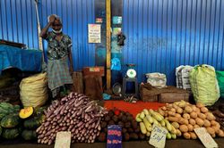 Thiếu lương thực, Sri Lanka cho công chức nghỉ thêm ngày để làm nông