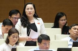 Đại biểu Quốc hội: Nhiều vụ bạo hành trẻ em có sự dung túng, tiếp tay bởi chính những người ruột thịt