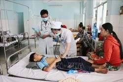 An Giang ghị nhận trên 4.400 ca mắc sốt xuất huyết