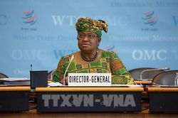 WTO nhấn mạnh tầm quan trọng của thương mại xanh