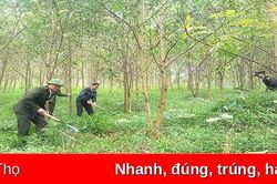 Hạ Hòa chủ động phòng cháy, chữa cháy rừng