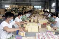 Cam Lộ: Phát động hưởng ứng Tháng cao điểm phòng, chống ma túy