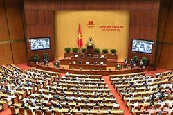 Bài 1: Khi 'kim chỉ nam' bị cất trong tủ kính