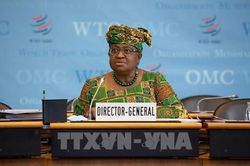 Thế giới Thế giới Hội nghị Bộ trưởng WTO: Chuyển đổi sang 'thương mại xanh' là việc cấp thiết