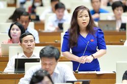 ĐBQH: Không đầu tư ra nước ngoài trong lĩnh vực dầu khí bằng mọi giá