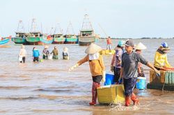 Nam Định: Tấp nập phiên chợ cá chiều bến Giao Hải