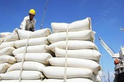 Ngành Hải quan tăng cường kiểm tra hồ sơ nhập khẩu đường