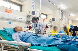 Sốc phản vệ vì ong vàng đốt khi đang làm vườn