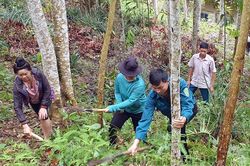 Bảo vệ rừng nhờ hưởng lợi từ rừng