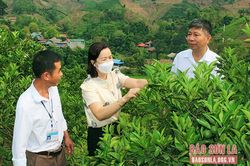 Nâng cao vai trò, trách nhiệm nêu gương của người đứng đầu