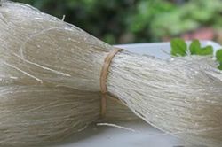 EU dừng kiểm soát khẩn cấp đối với bún, miến, phở, bánh đa