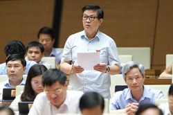 ĐBQH Đỗ Ngọc Thịnh (Khánh Hòa): Làm rõ quy định về hợp tác đầu tư hoạt động dầu khí Việt Nam tại nước ngoài